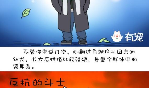 🍜有宠百科 第33话 第4页