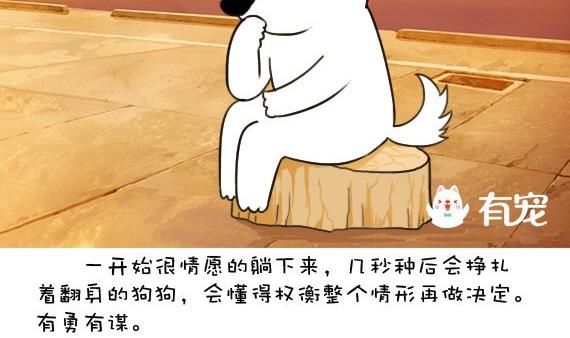 🍜有宠百科 第33话 第7页