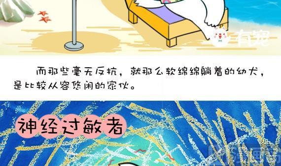 🍜有宠百科 第33话 第9页