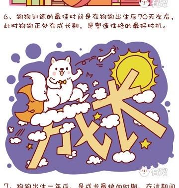 🍜有宠百科 第35话 第10页