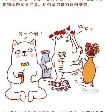 🍜有宠百科 第35话 第11页