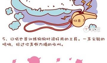 🍜有宠百科 第35话 第8页