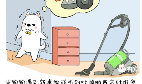 🍜有宠百科 第37话 第2页