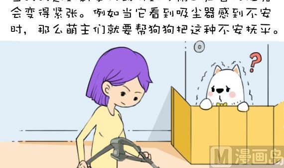 🍜有宠百科 第37话 第3页