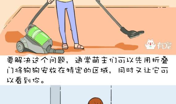 🍜有宠百科 第37话 第4页