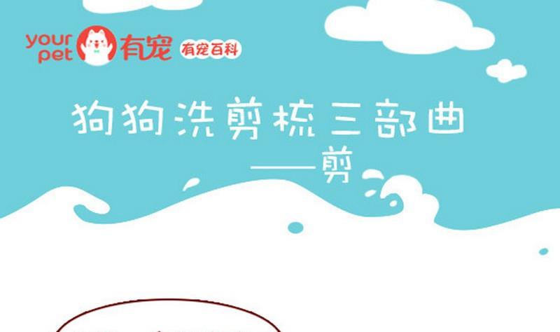🍜有宠百科 第39话 第1页