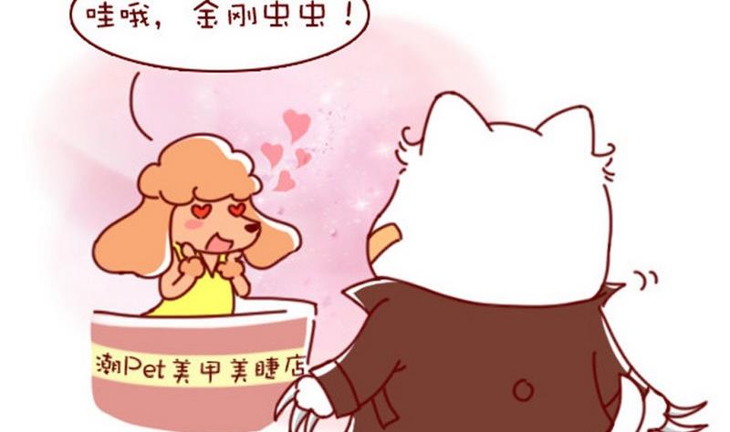 🍜有宠百科 第39话 第2页