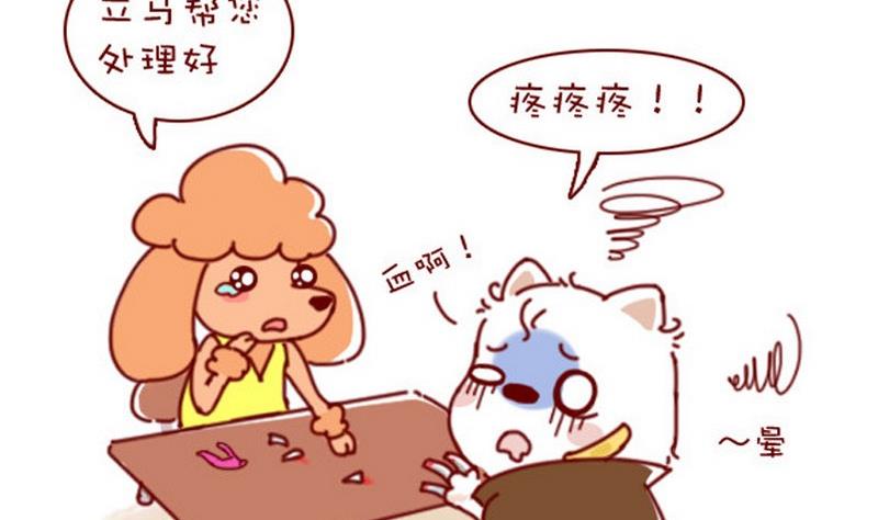 🍜有宠百科 第39话 第5页