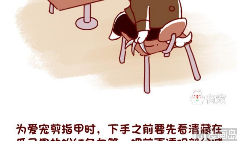 🍜有宠百科 第39话 第6页