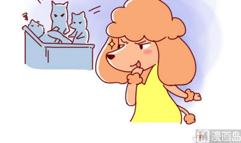 🍜有宠百科 第39话 第9页