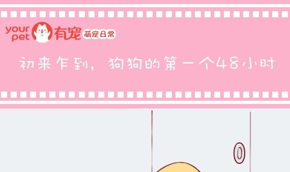 🍜有宠百科 第5话 第1页