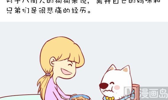 🍜有宠百科 第5话 第3页