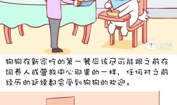 🍜有宠百科 第5话 第4页
