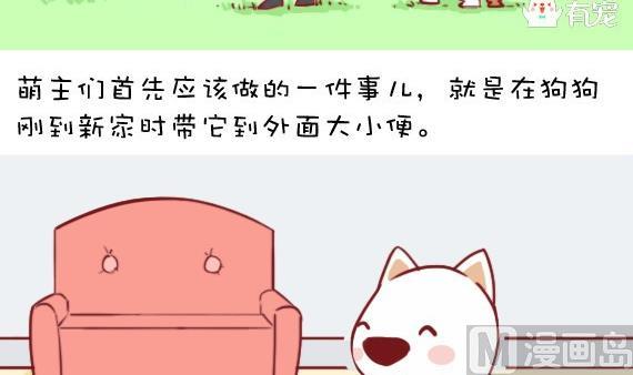 🍜有宠百科 第5话 第6页