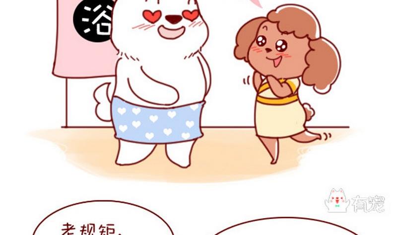 🍜有宠百科 第41话 第2页