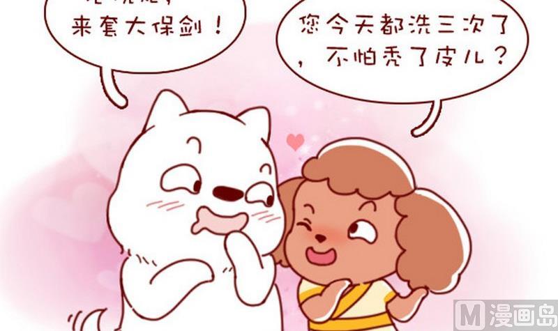 🍜有宠百科 第41话 第3页