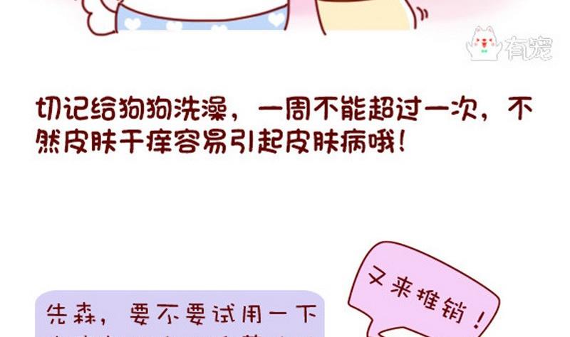 🍜有宠百科 第41话 第4页