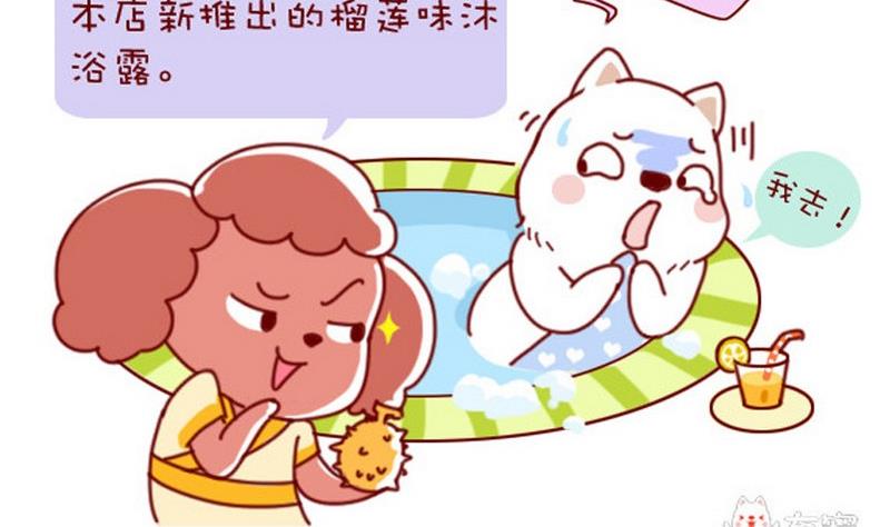 🍜有宠百科 第41话 第5页