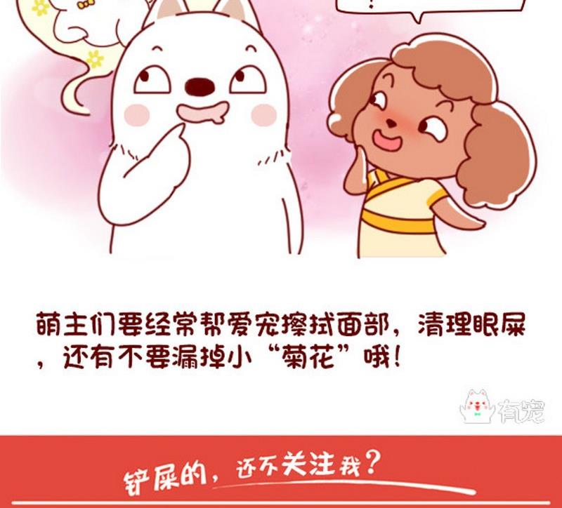 🍜有宠百科 第41话 第8页