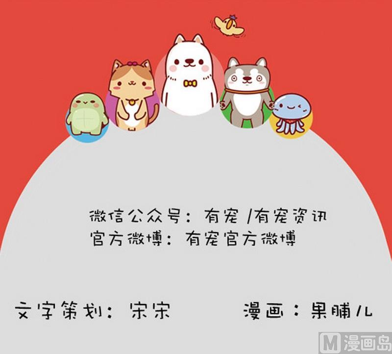 🍜有宠百科 第41话 第9页