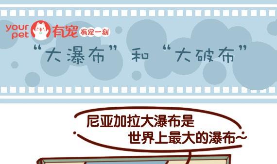 🍜有宠百科 第43话 第1页