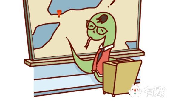 🍜有宠百科 第43话 第2页