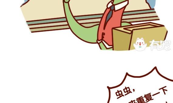 🍜有宠百科 第43话 第4页