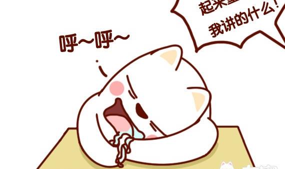 🍜有宠百科 第43话 第5页