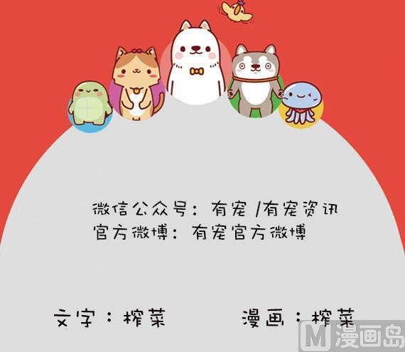 🍜有宠百科 第43话 第9页