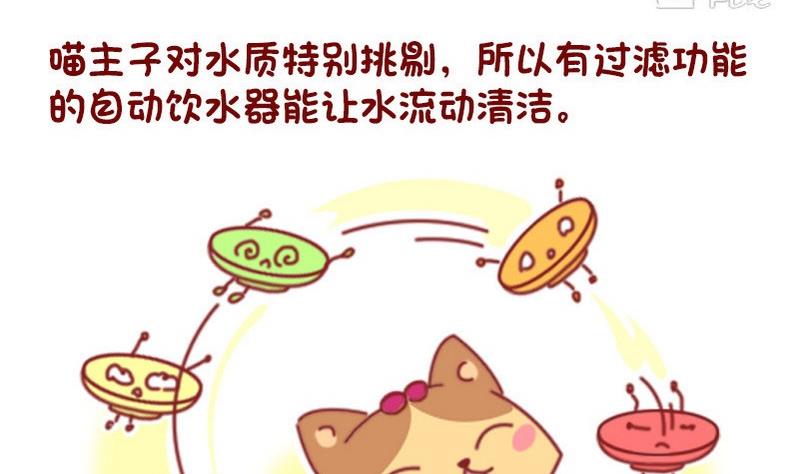 🍜有宠百科 第47话 第11页