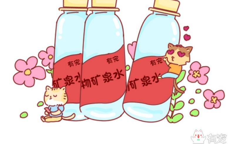 🍜有宠百科 第47话 第13页