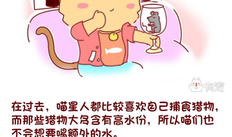 🍜有宠百科 第47话 第4页