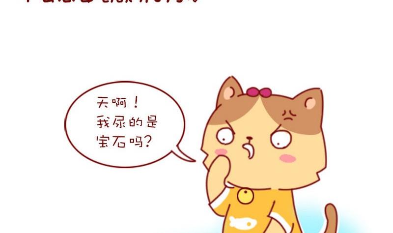 🍜有宠百科 第47话 第5页