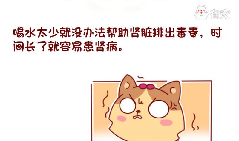 🍜有宠百科 第47话 第8页