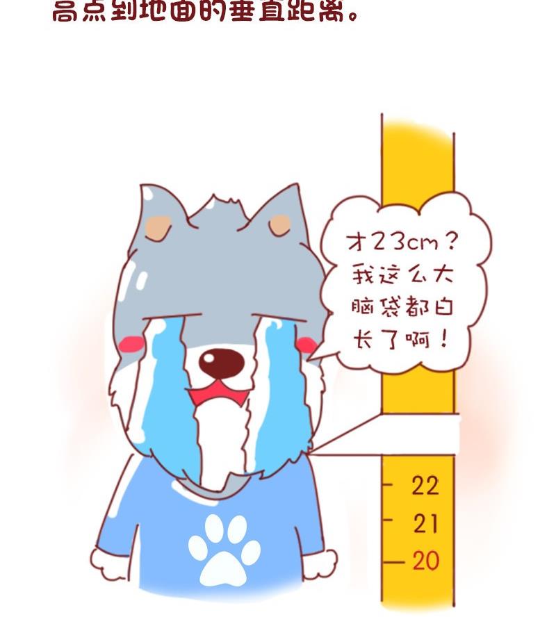 🍜有宠百科 第49话 第11页