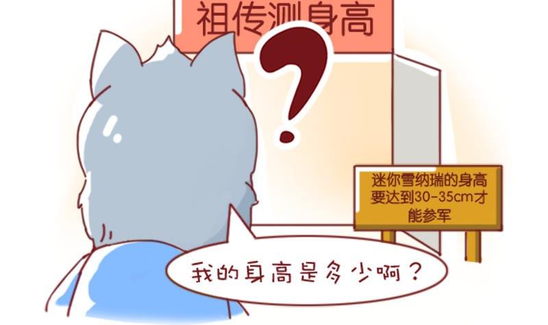 🍜有宠百科 第49话 第4页