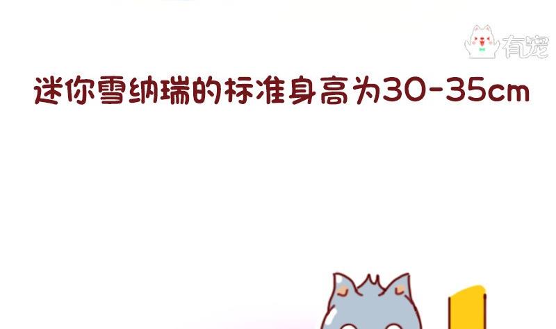 🍜有宠百科 第49话 第5页