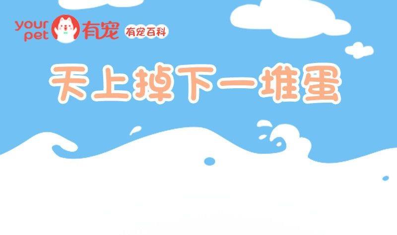 🍜有宠百科 第51话 第1页