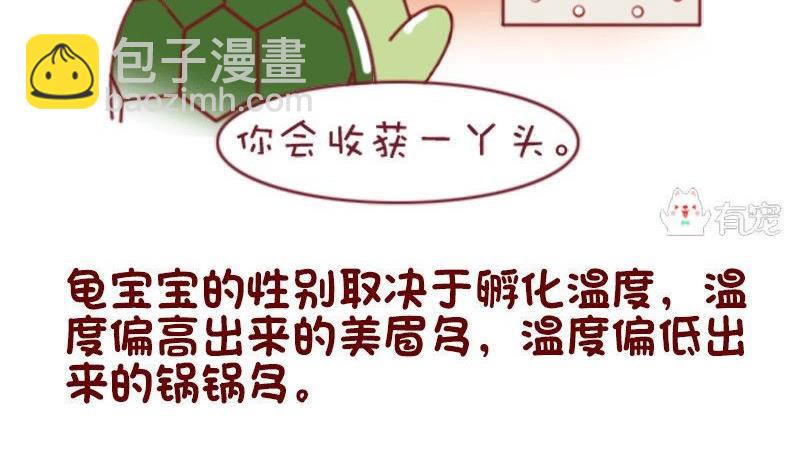 🍜有宠百科 第51话 第13页