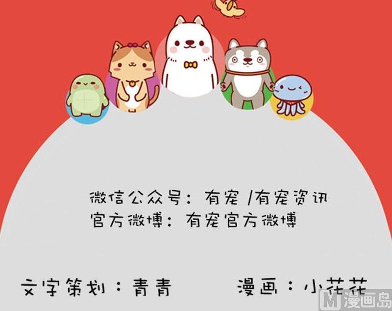 🍜有宠百科 第51话 第18页