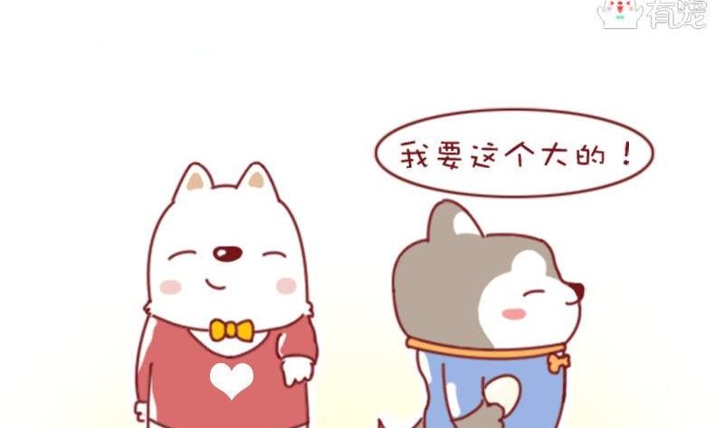 🍜有宠百科 第51话 第5页