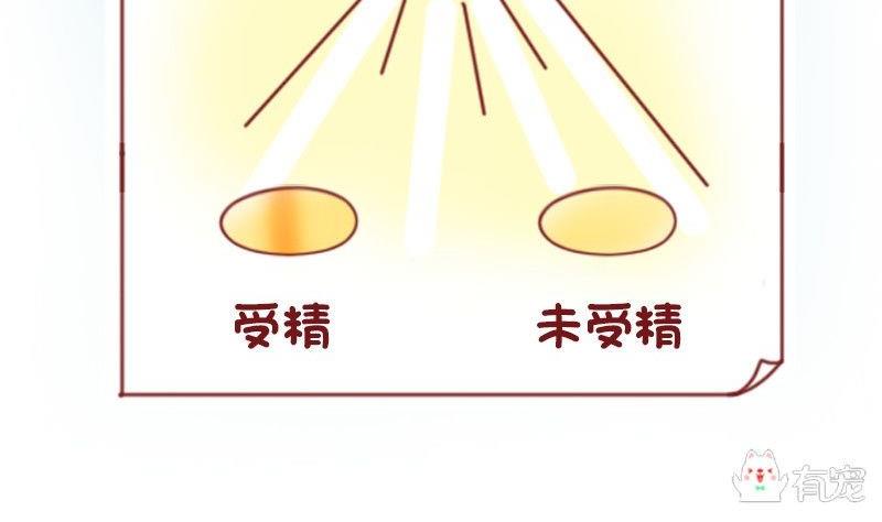 🍜有宠百科 第51话 第8页