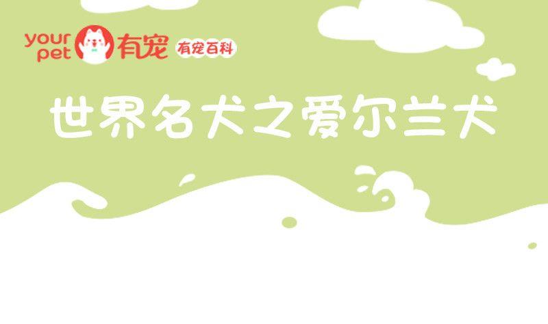 🍜有宠百科 第53话 第1页