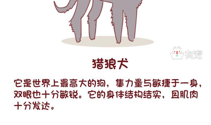 🍜有宠百科 第53话 第10页
