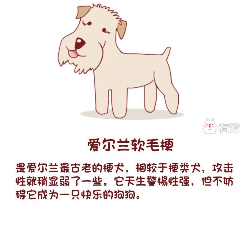 🍜有宠百科 第53话 第13页