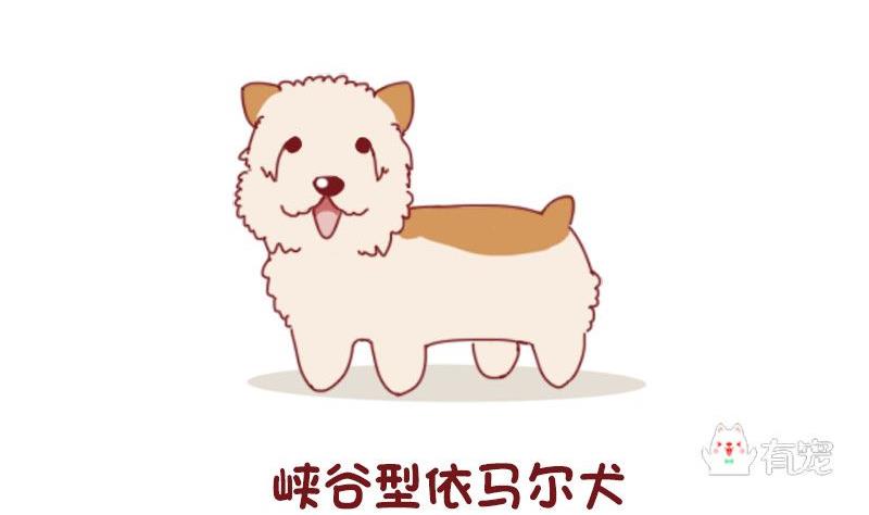 🍜有宠百科 第53话 第2页