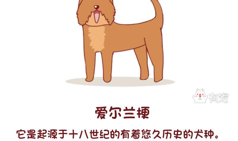 🍜有宠百科 第53话 第4页
