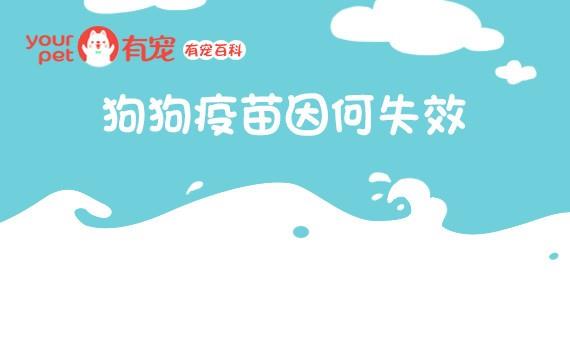 🍜有宠百科 第59话 第1页