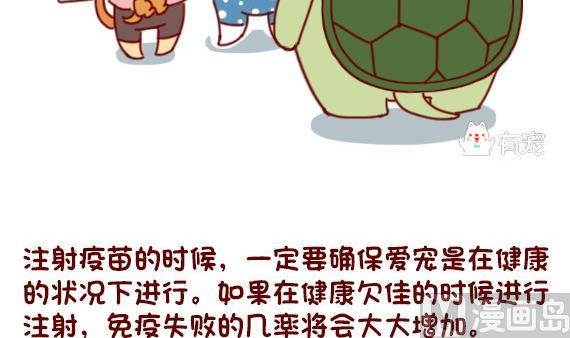 🍜有宠百科 第59话 第12页