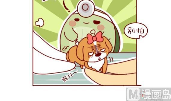 🍜有宠百科 第59话 第18页
